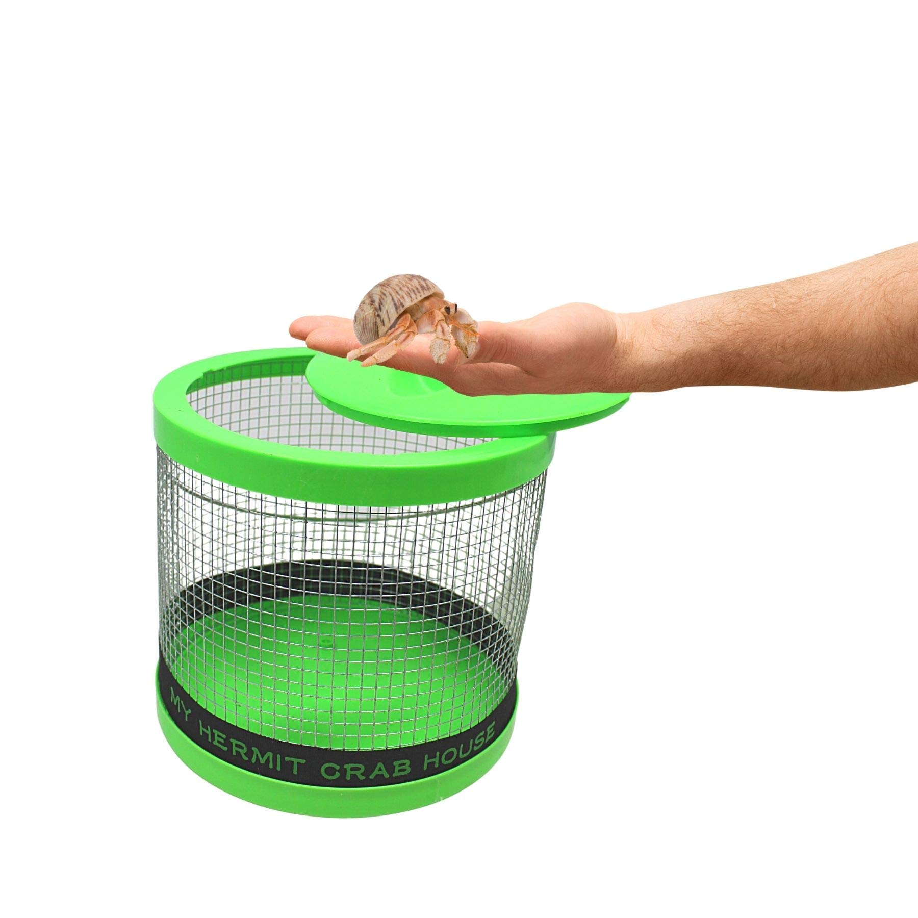 Amazon.com : Needzo DIY Terrarium Kit, Medium Hermit Crab